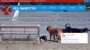 Hundeschule Der Hundetyp